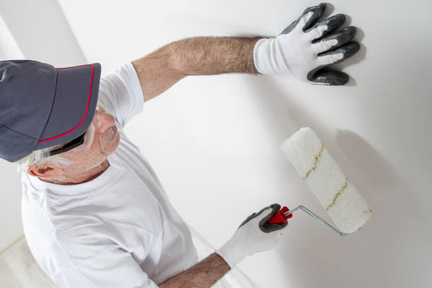 Best Mold Documentation for Insurance Claims  in Belford, NJ